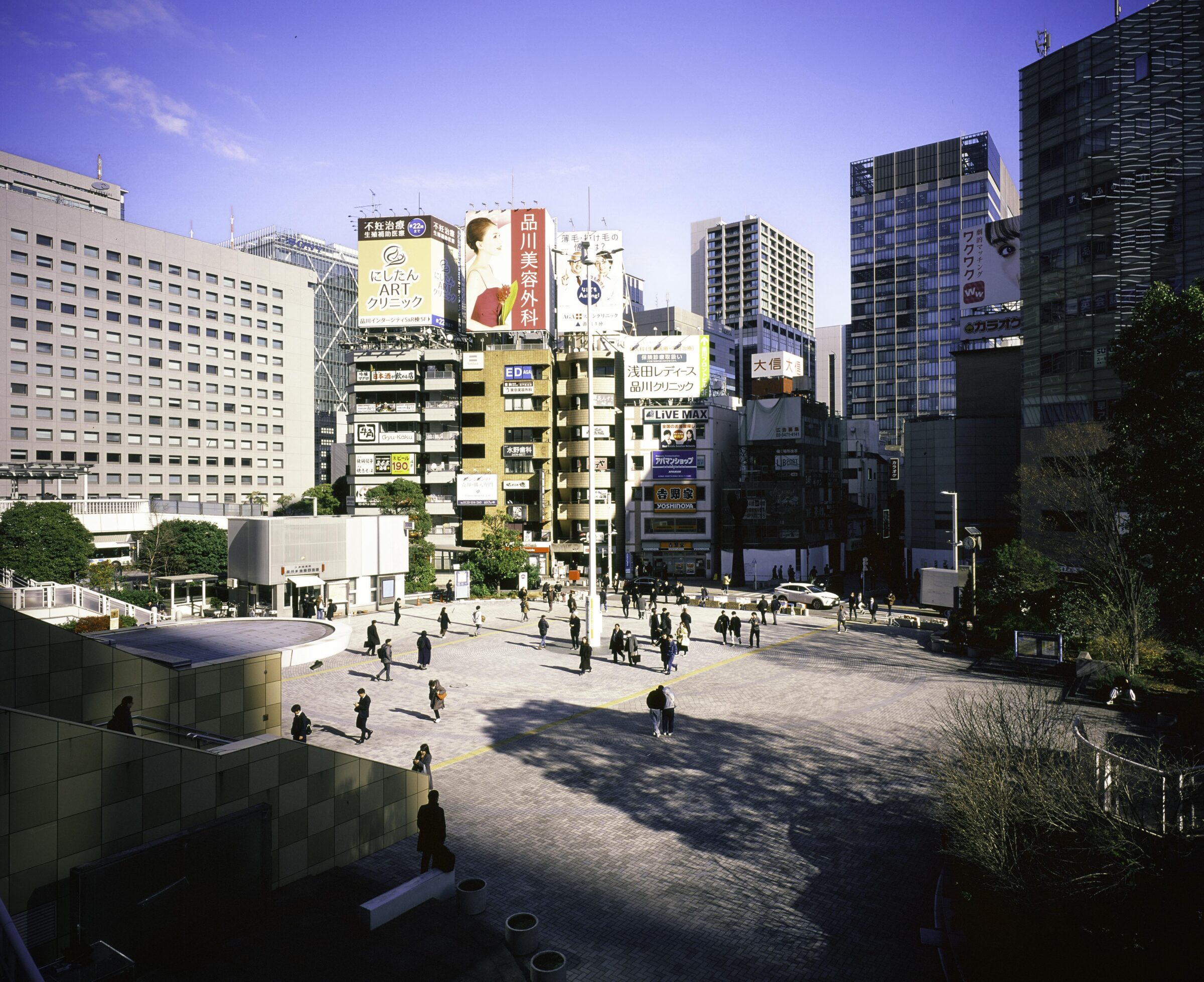 THE BEAUTY OF JAPAN