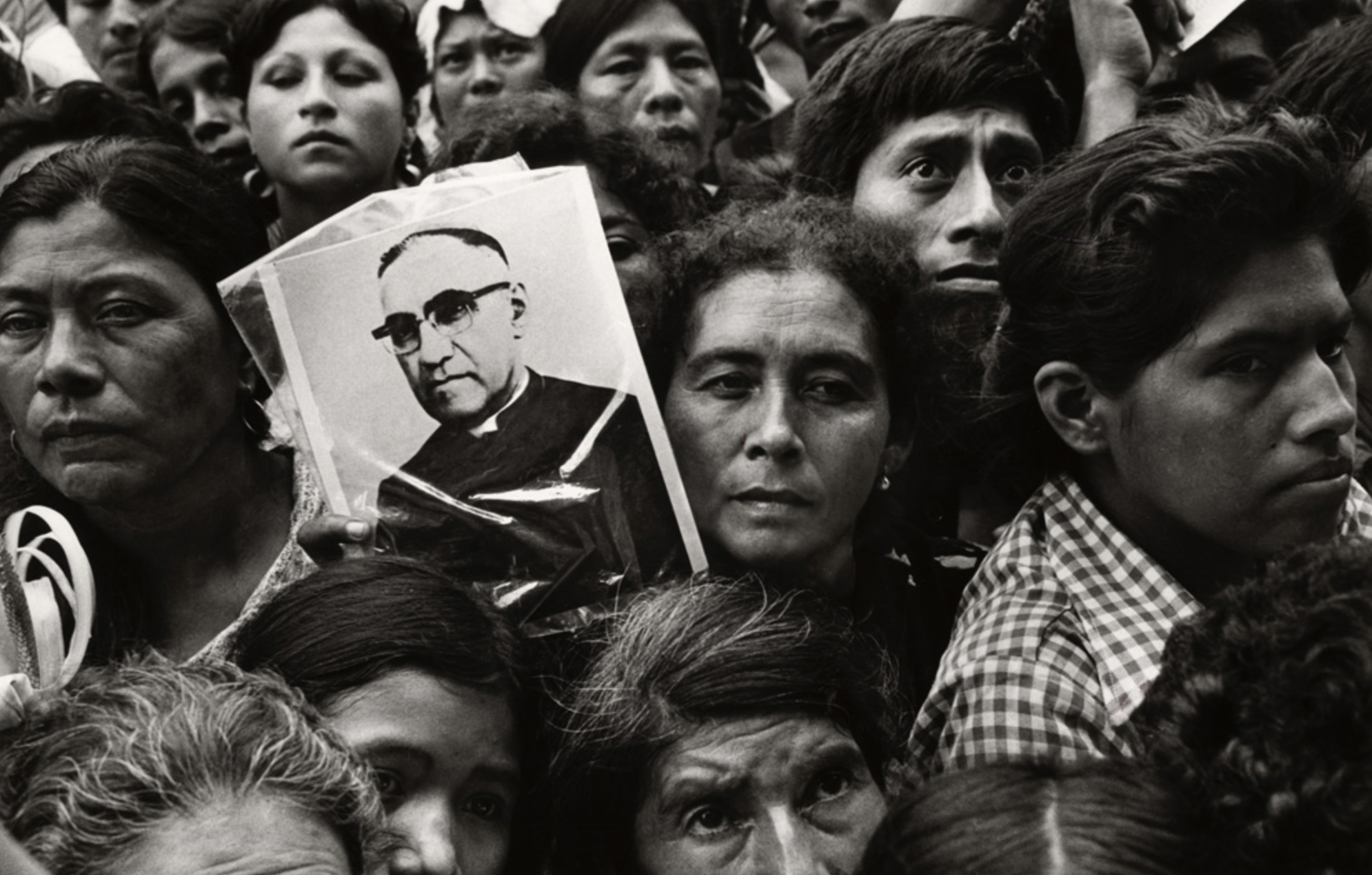 THE SCHOOL OF THE ASSASSINS