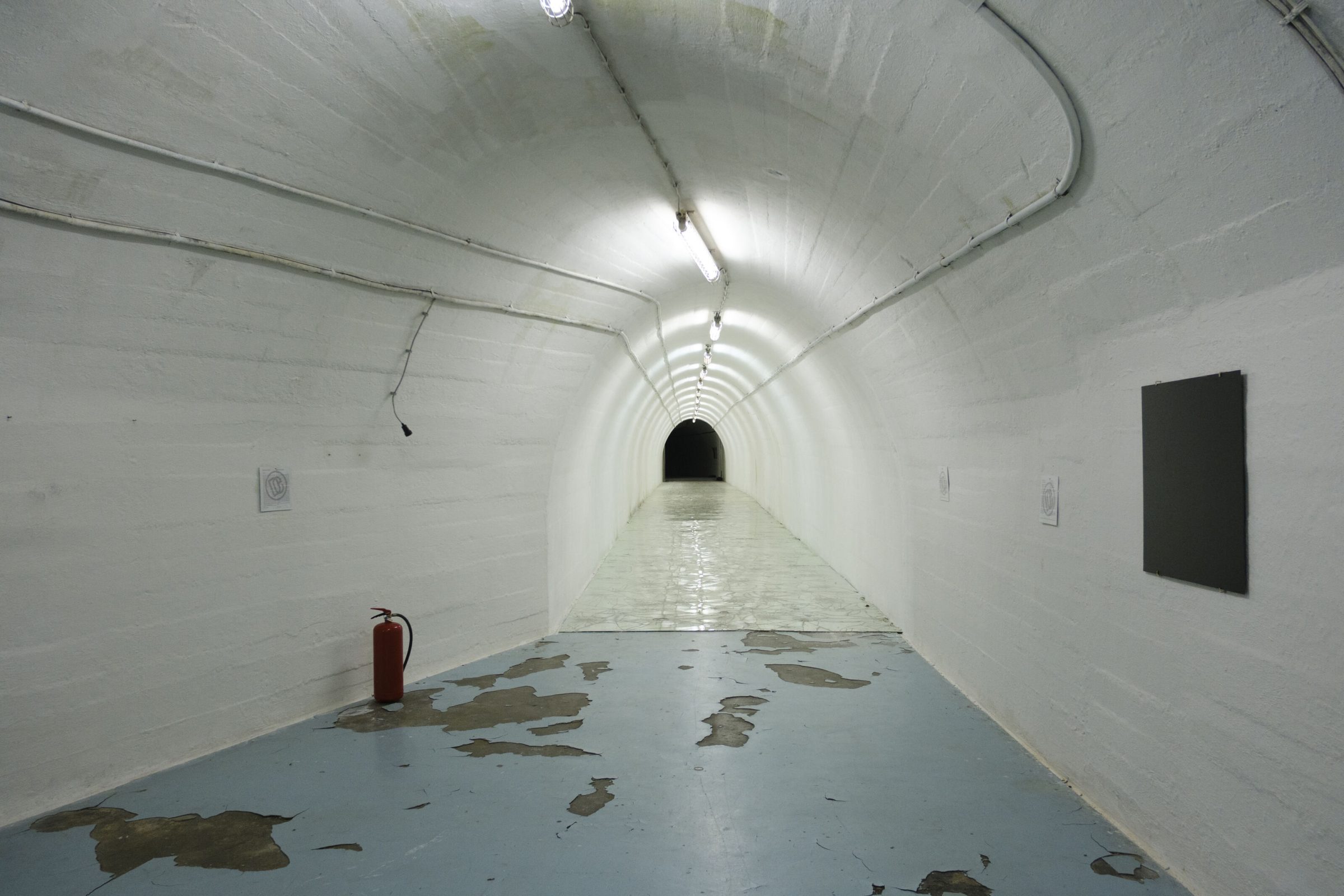 MORAL SUPERIORITY FOR BEGINNERS